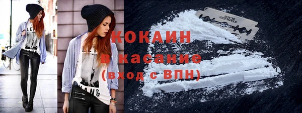 мескалин Ельня