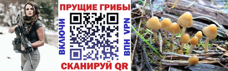 Галлюциногенные грибы Magic Shrooms Арамиль