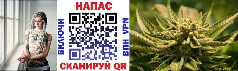 Каннабис сатива Арамиль